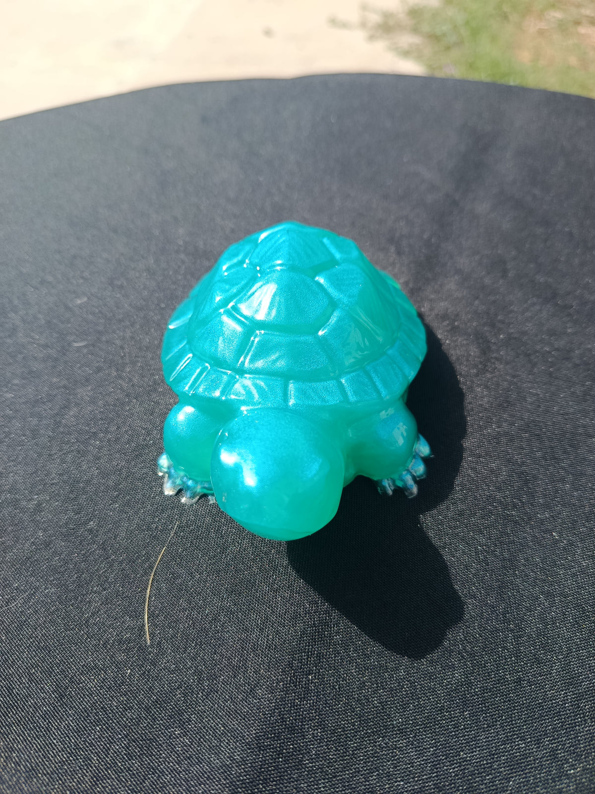 Tortue