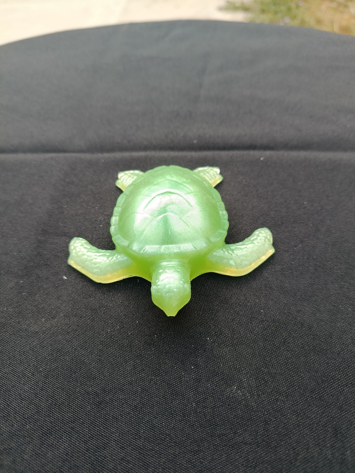 Tortue