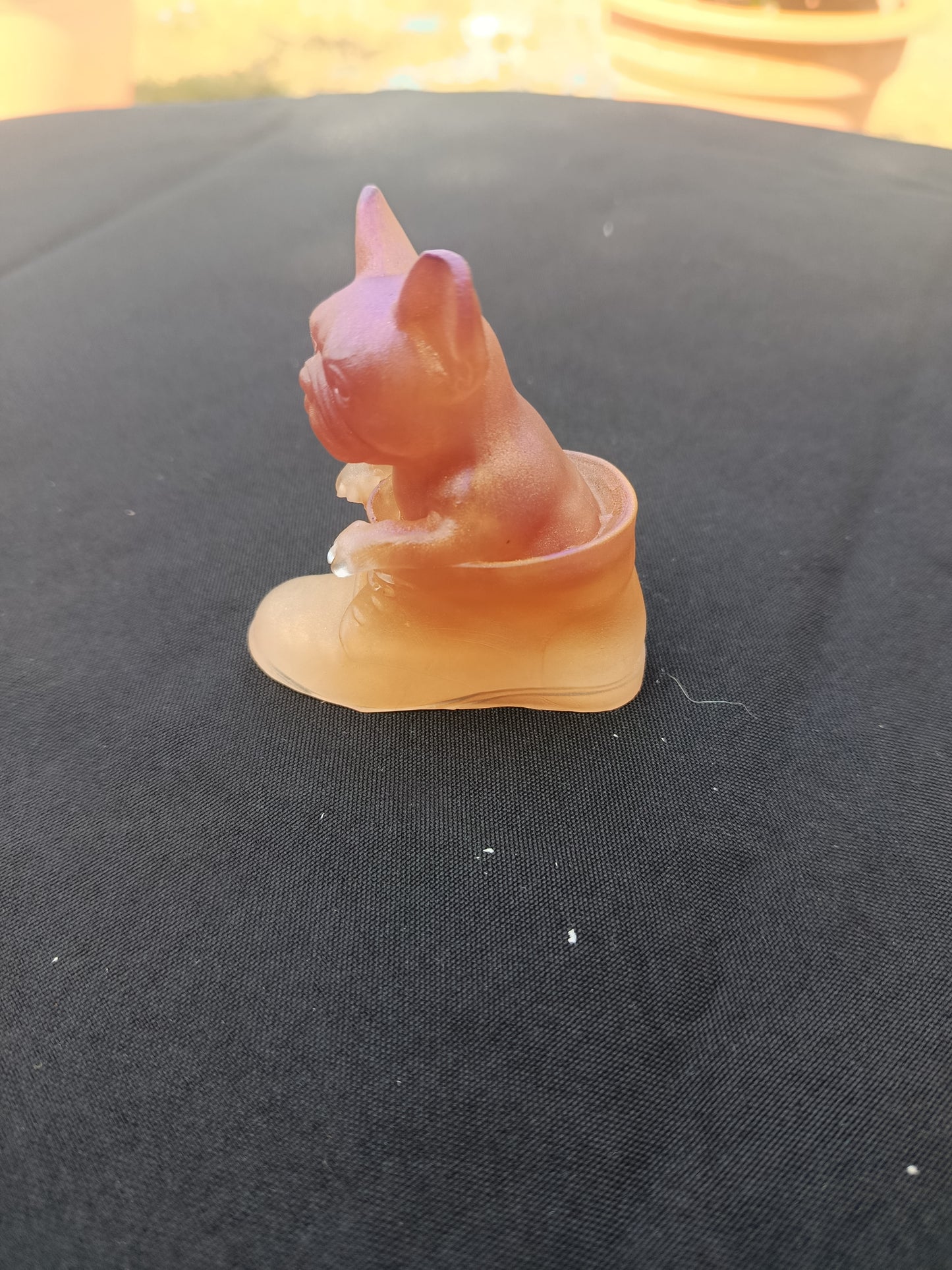 Chien dans sa chaussure