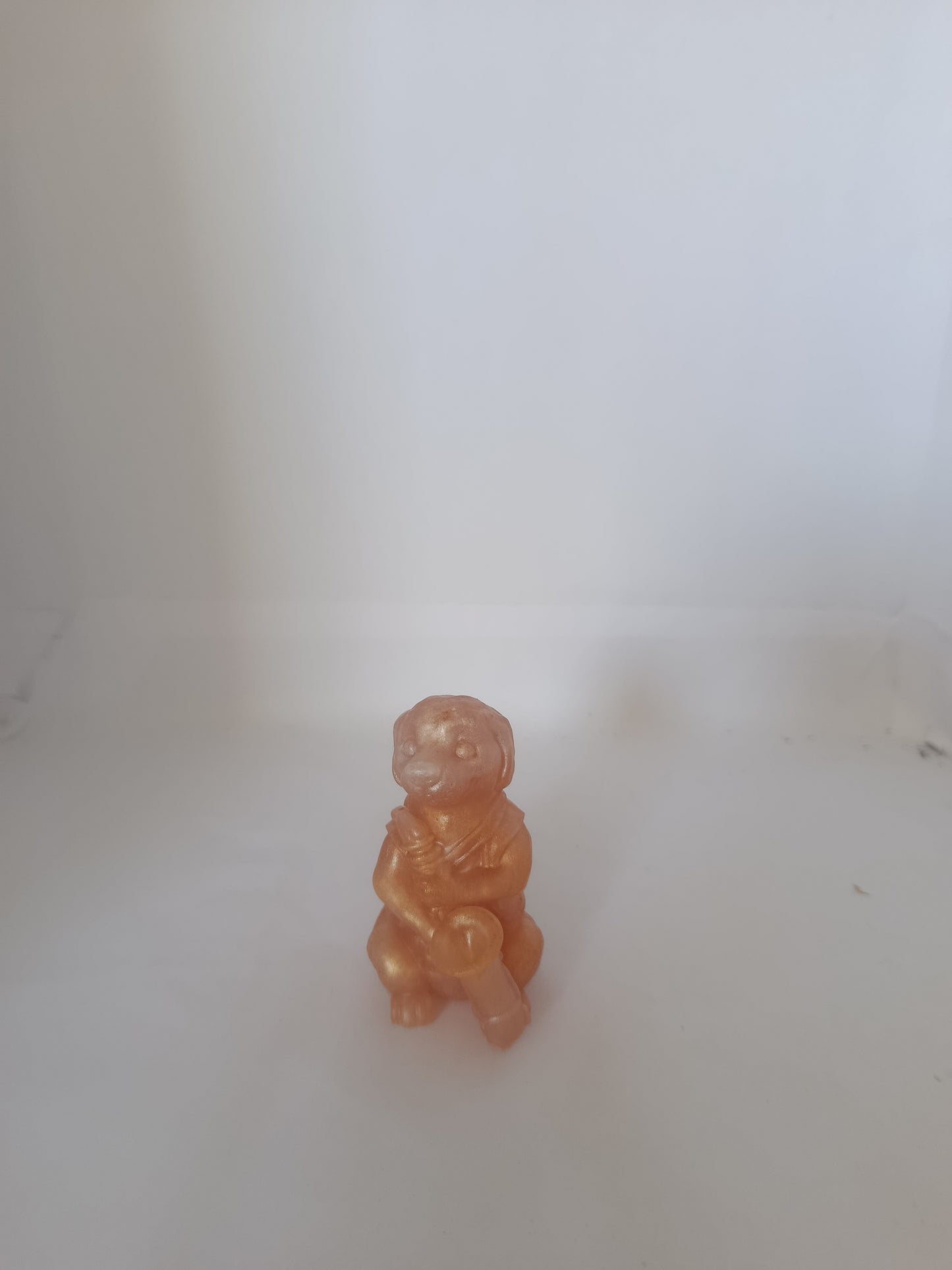 Petit chien avec son instrument