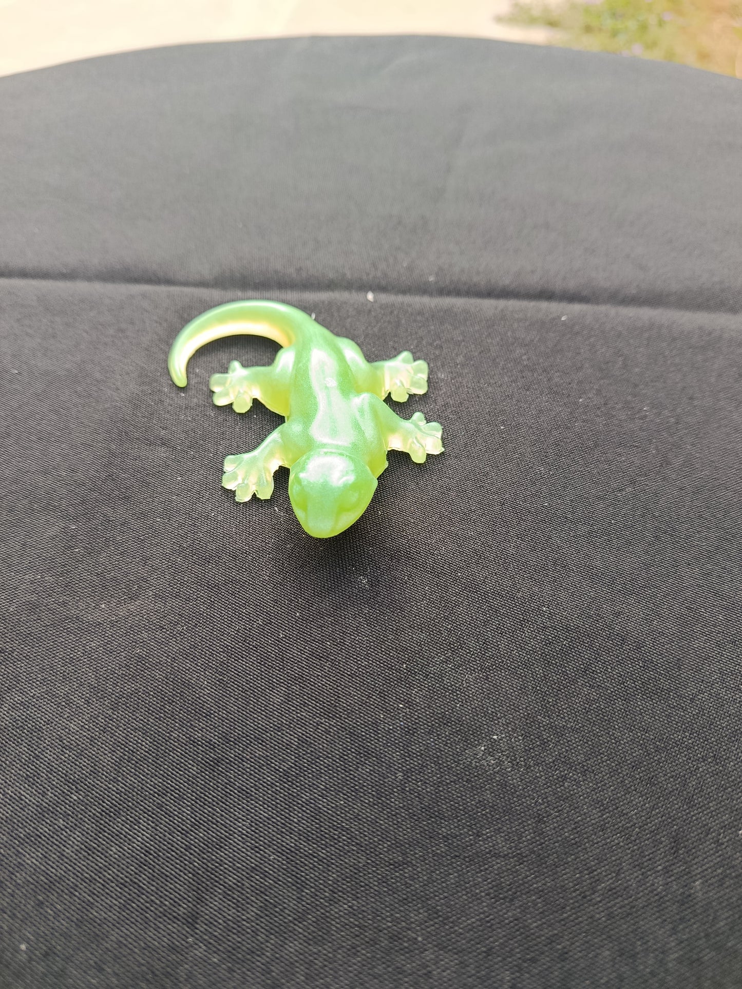 Lézard