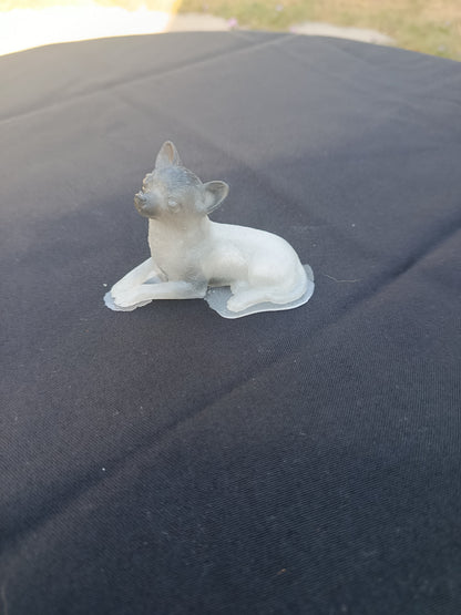 Petit chien chihuahua