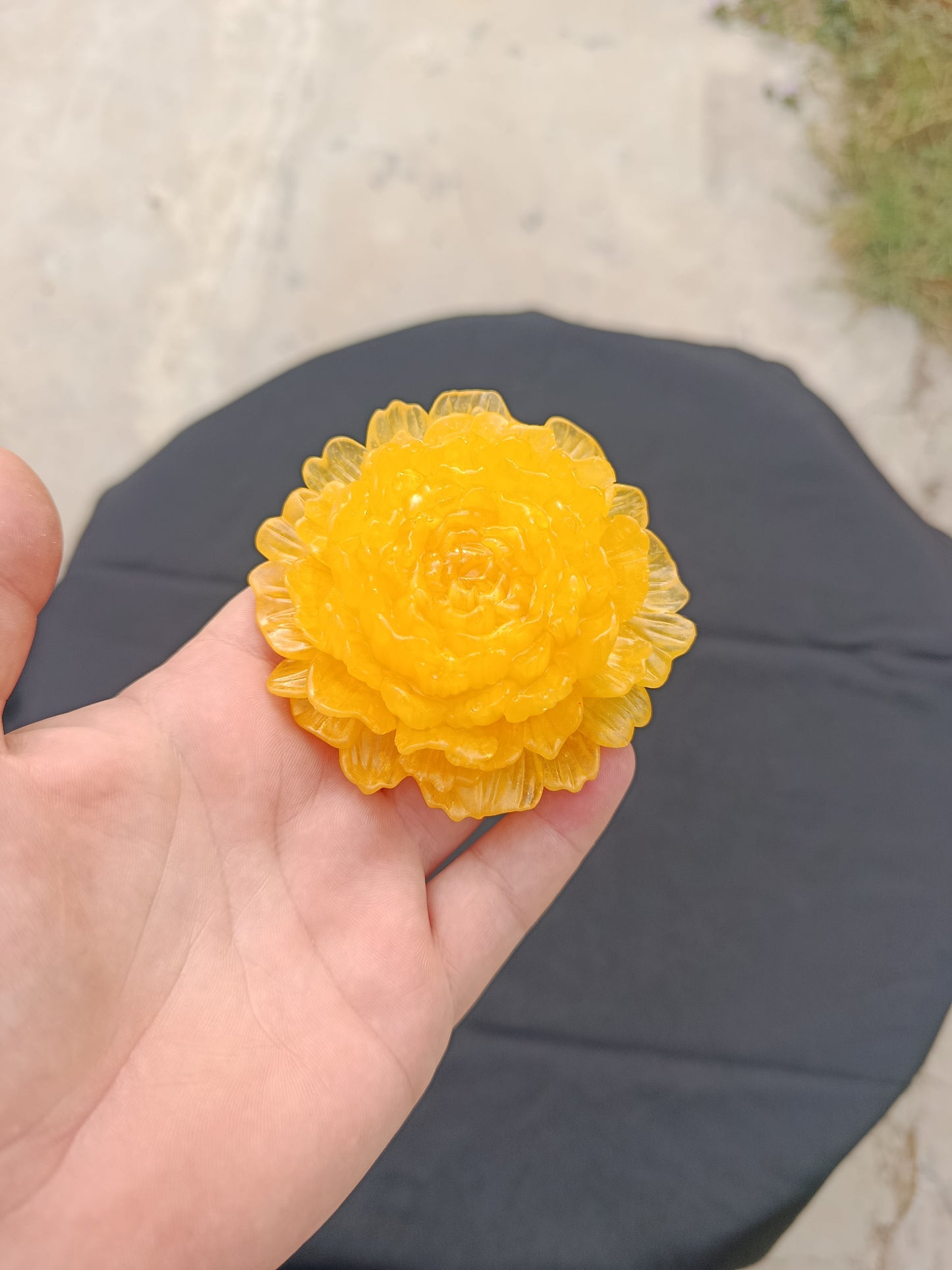 Pivoine (moyen)
