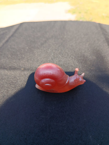 Escargot taille M
