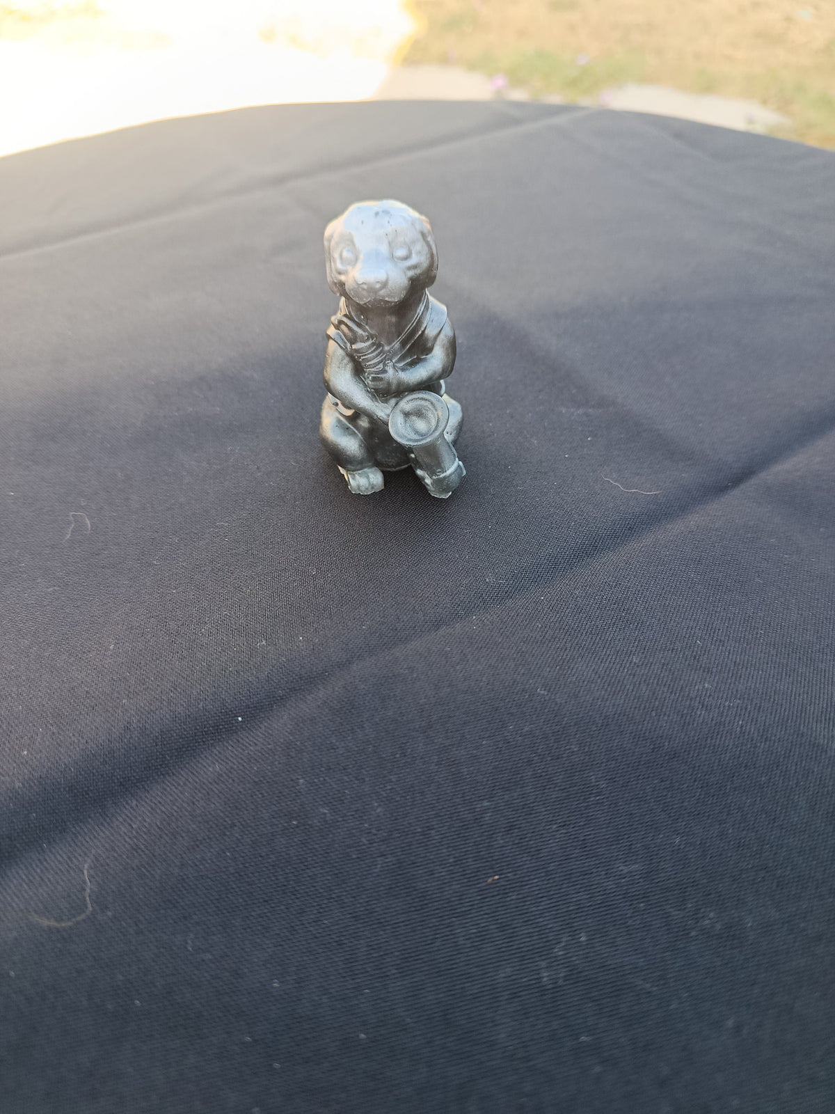 Petit chien avec son instrument