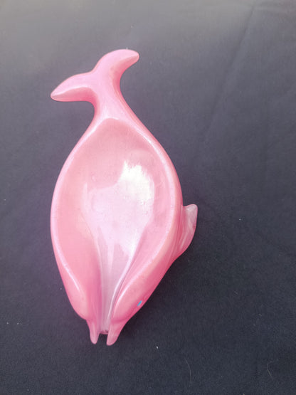 Dauphin porte savon