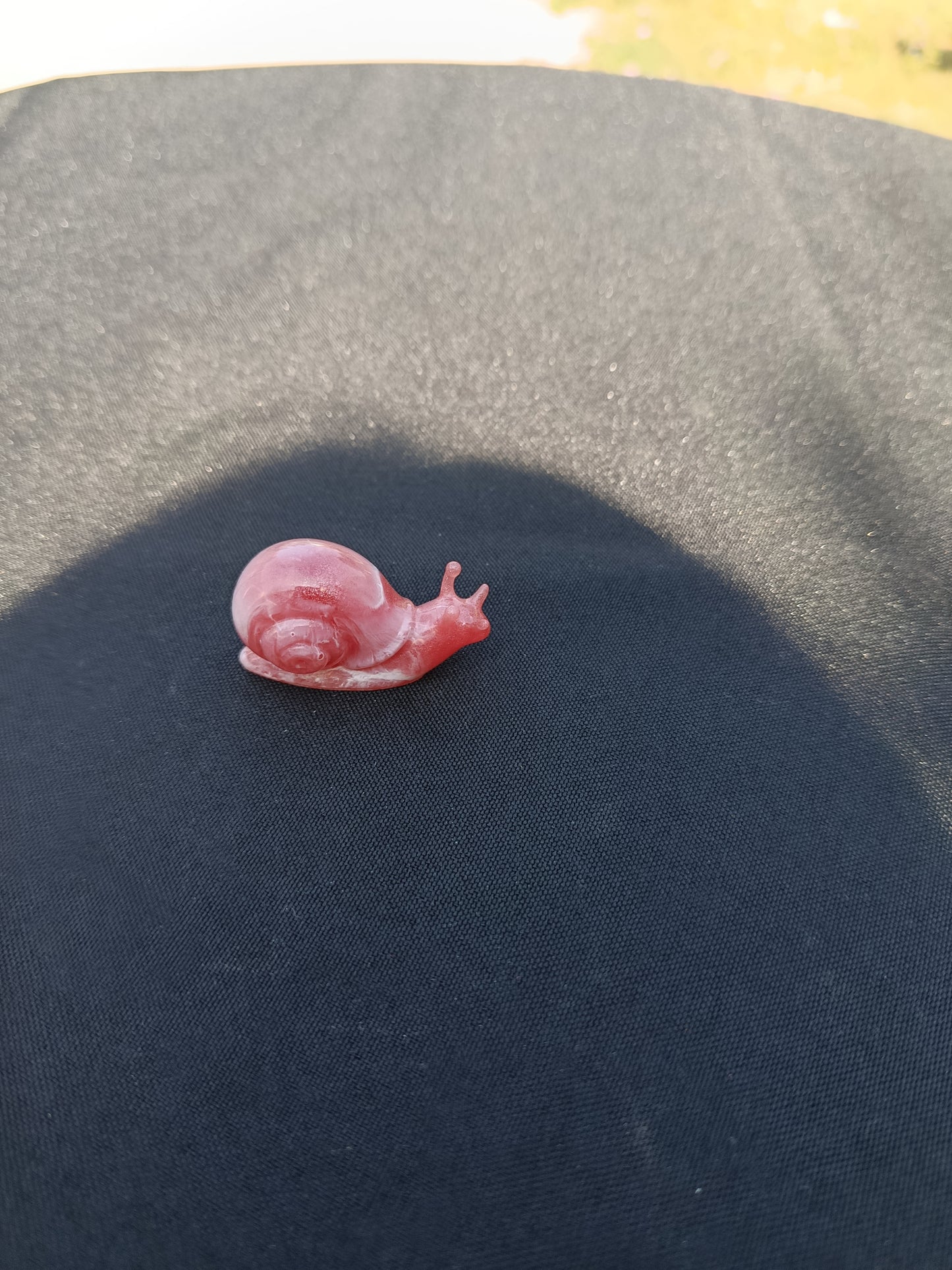 Escargot taille S