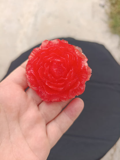 Petite pivoine