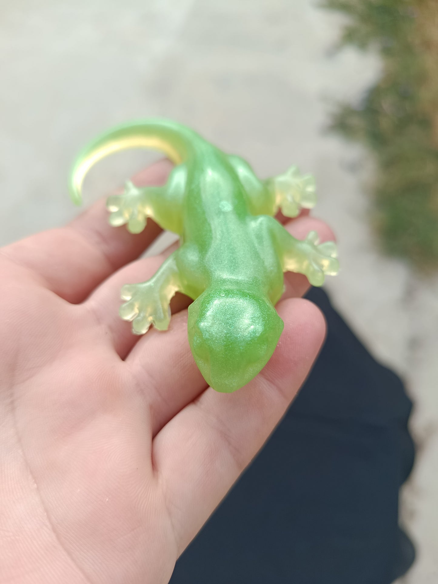 Lézard