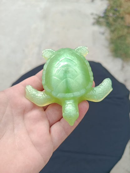 Tortue