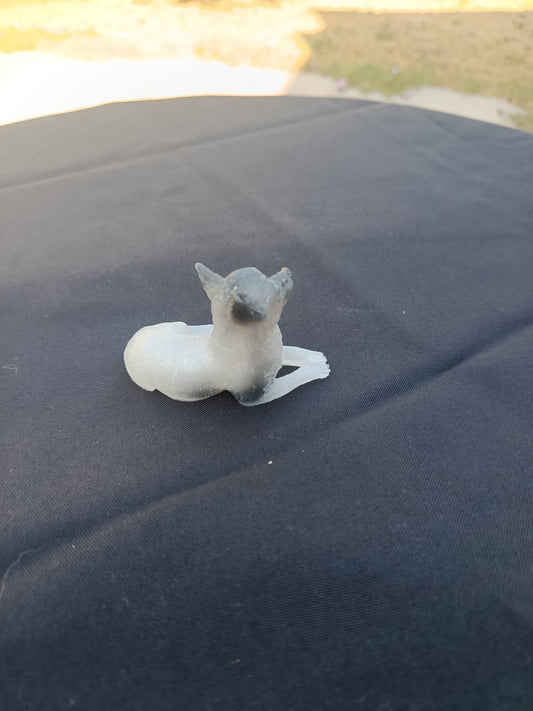 Petit chien chihuahua