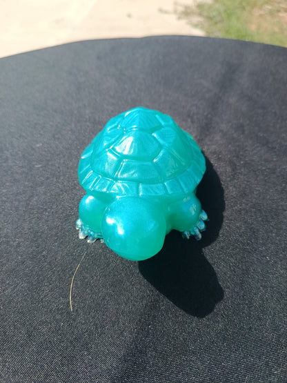 Tortue