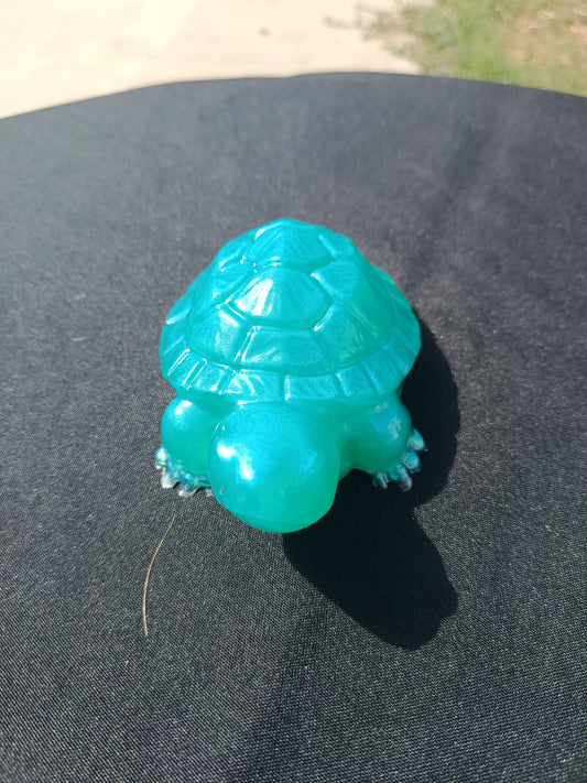 Tortue