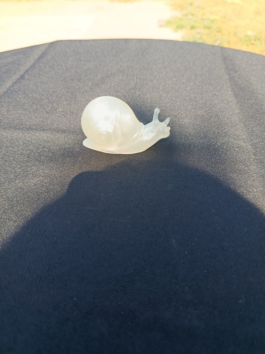 Escargot taille M