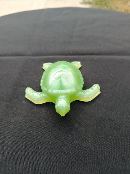 Tortue