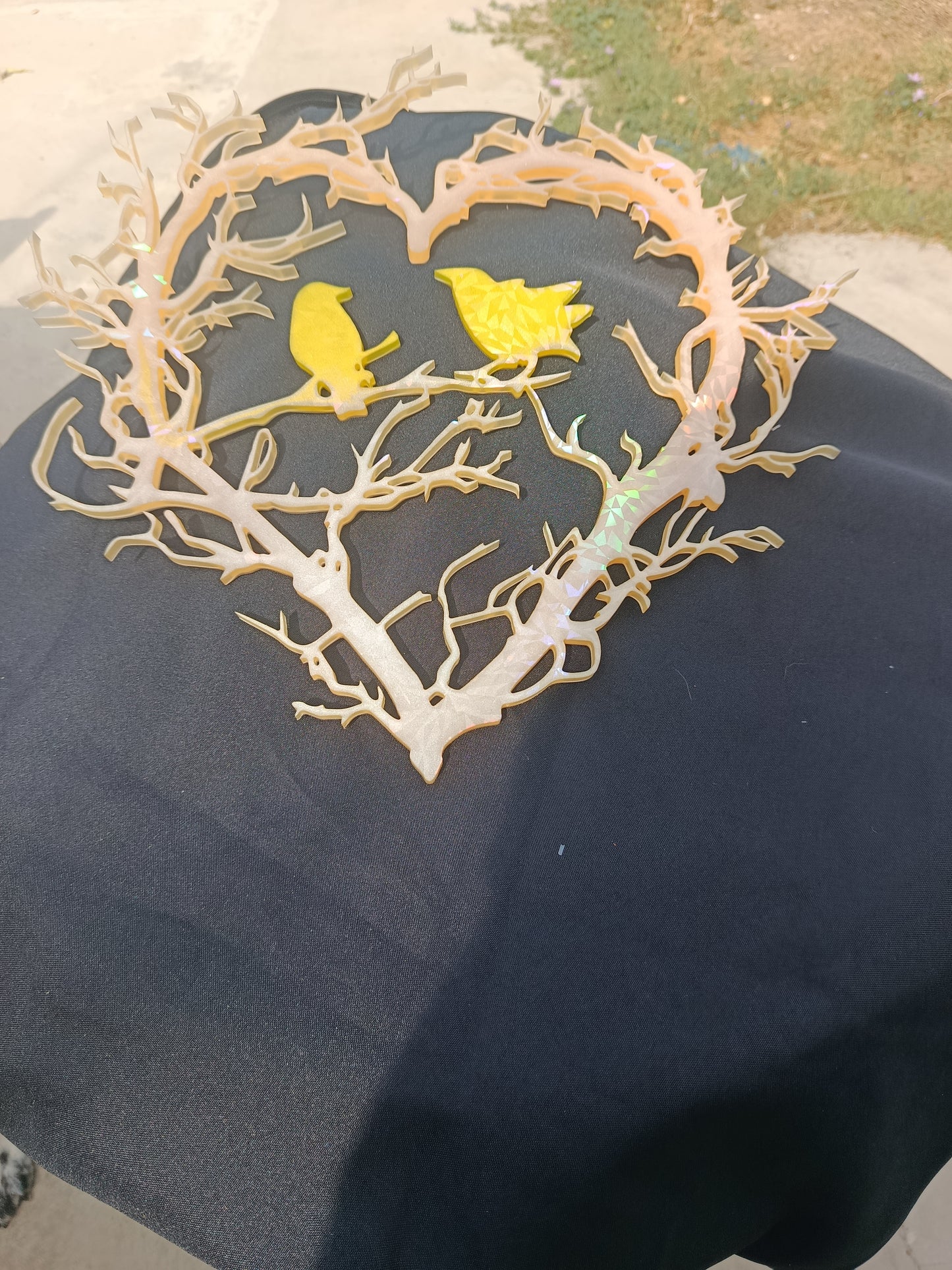 Nide d'oiseaux