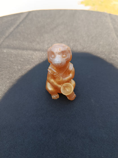 Petit chien avec son instrument