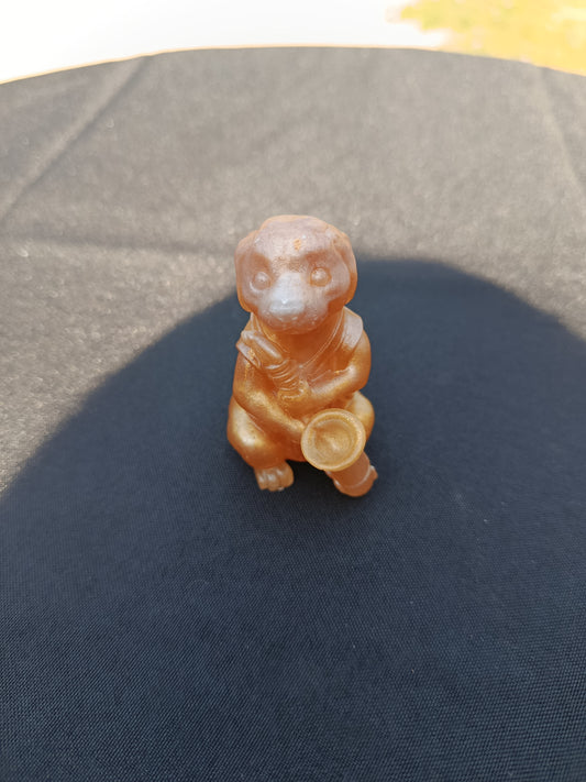 Petit chien avec son instrument