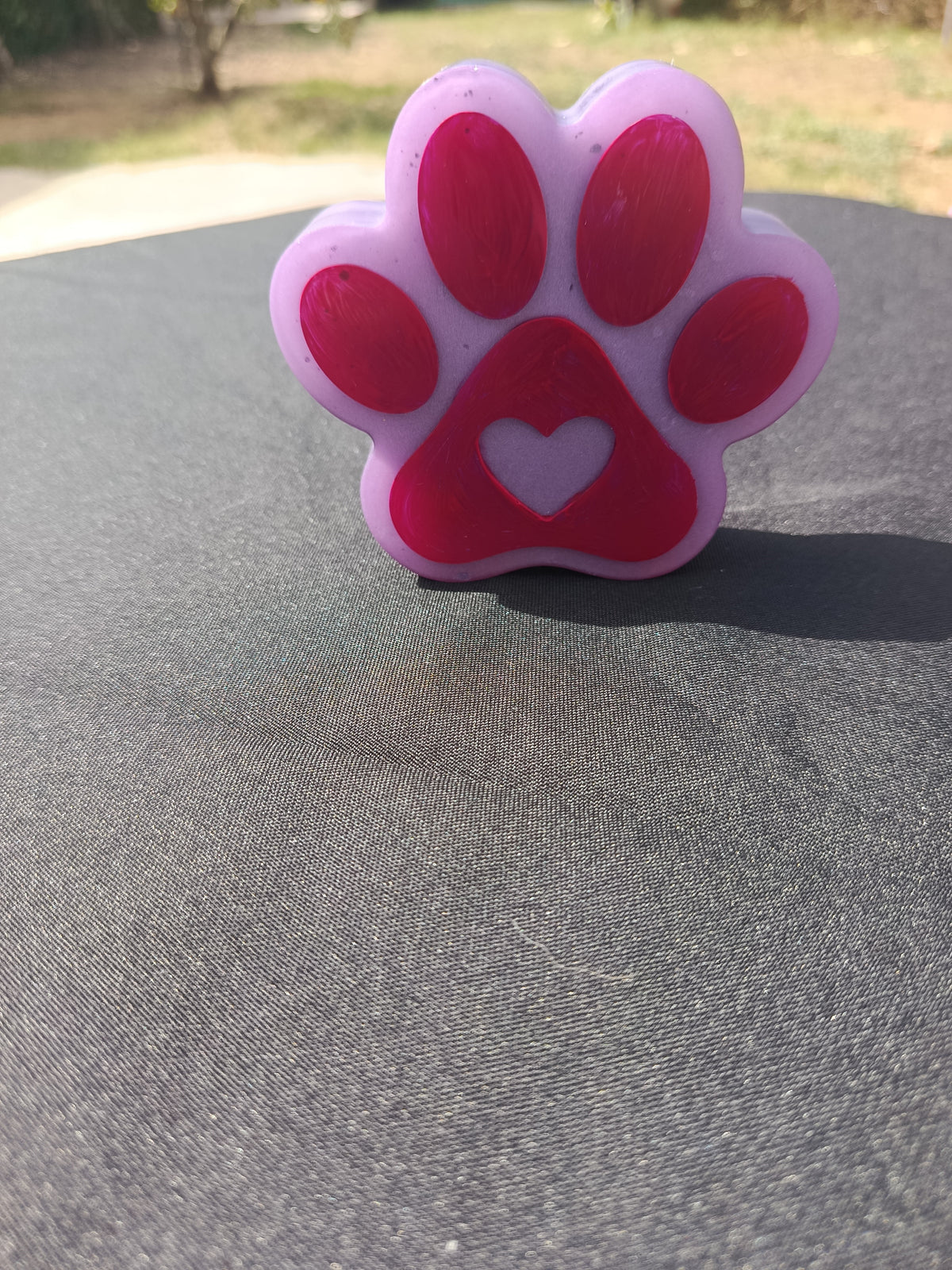 Patte de chien