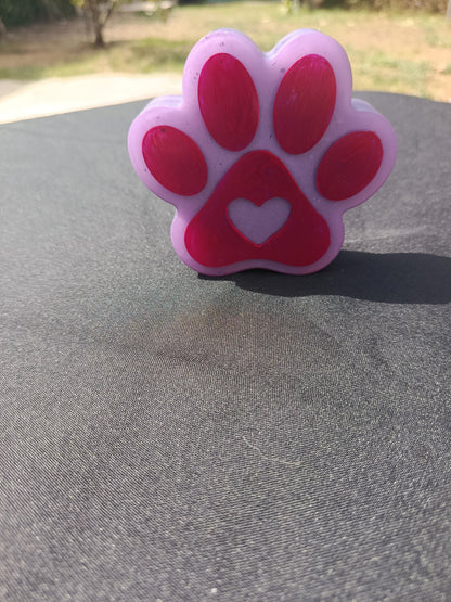 Patte de chien