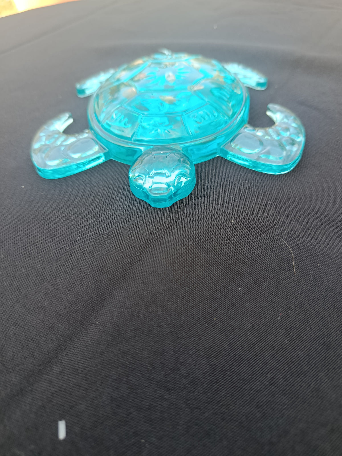 Tortue