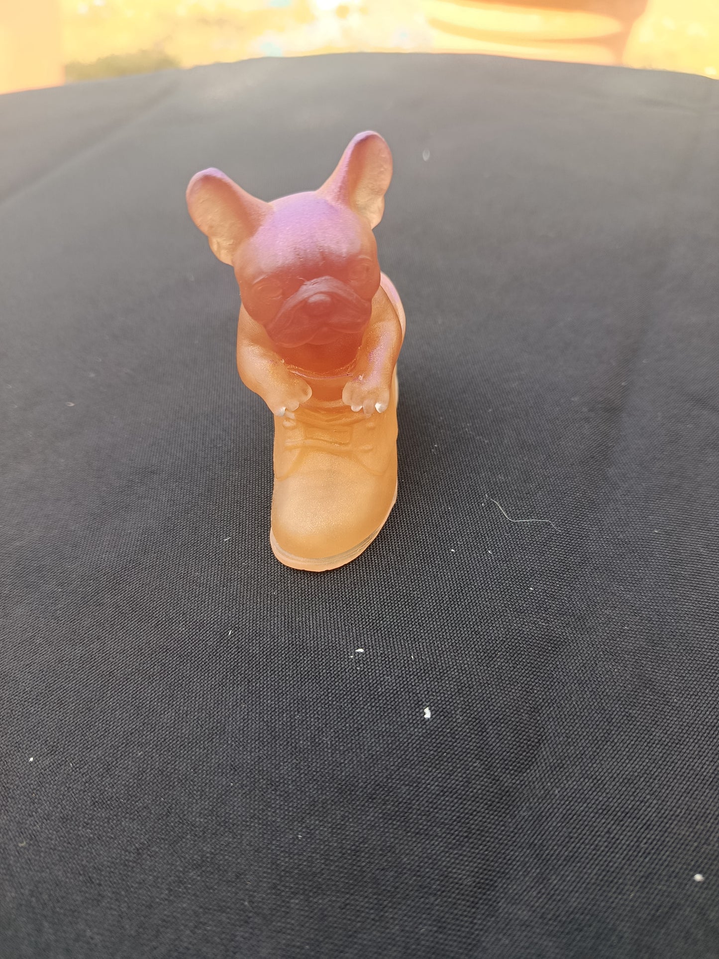 Chien dans sa chaussure