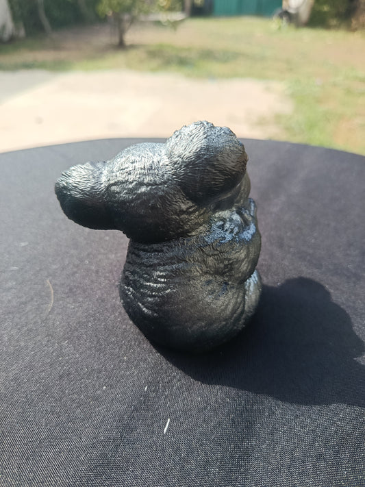 Maman koala avec son petit