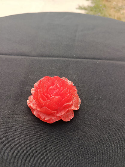 Petite pivoine