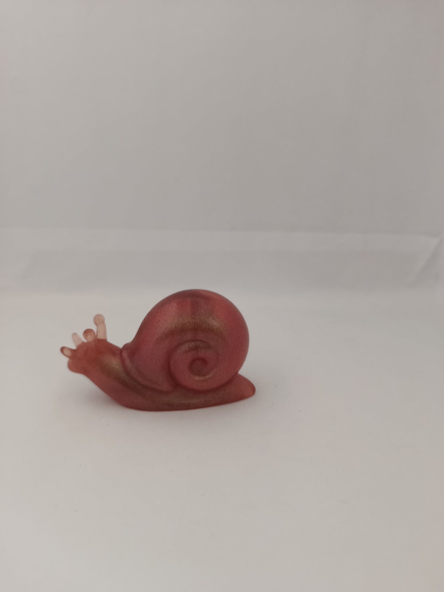 Escargot taille M