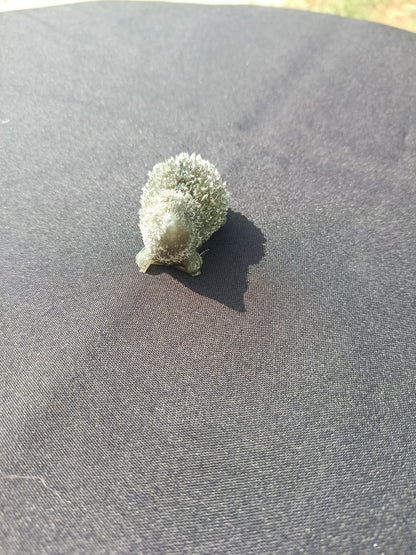 Petit hérisson