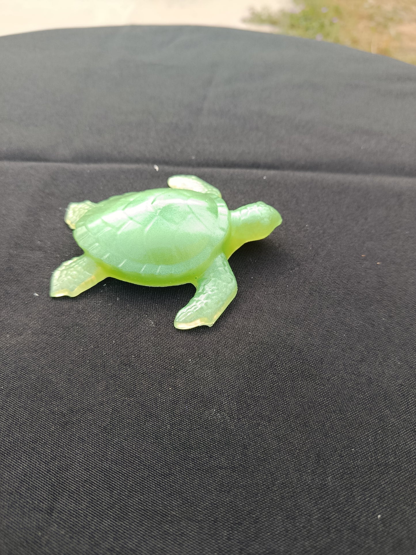 Tortue