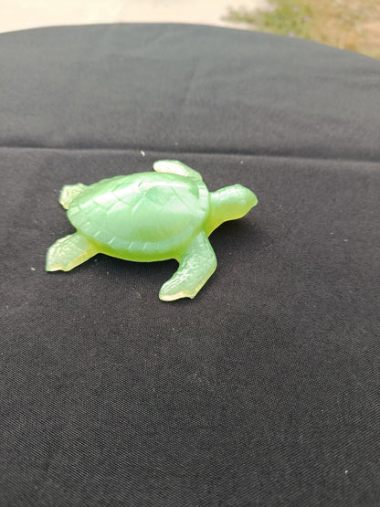 Tortue
