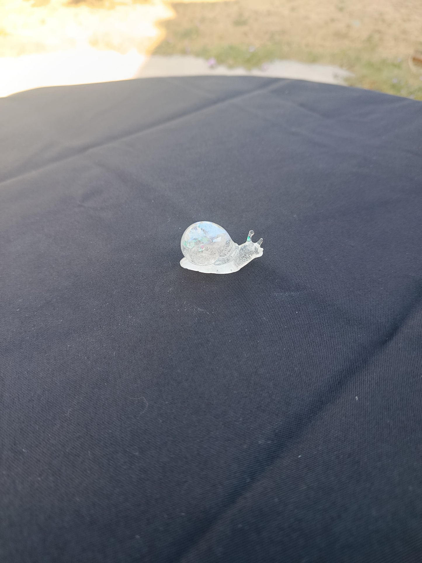 Escargot taille S