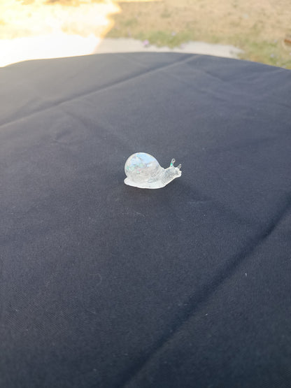 Escargot taille S
