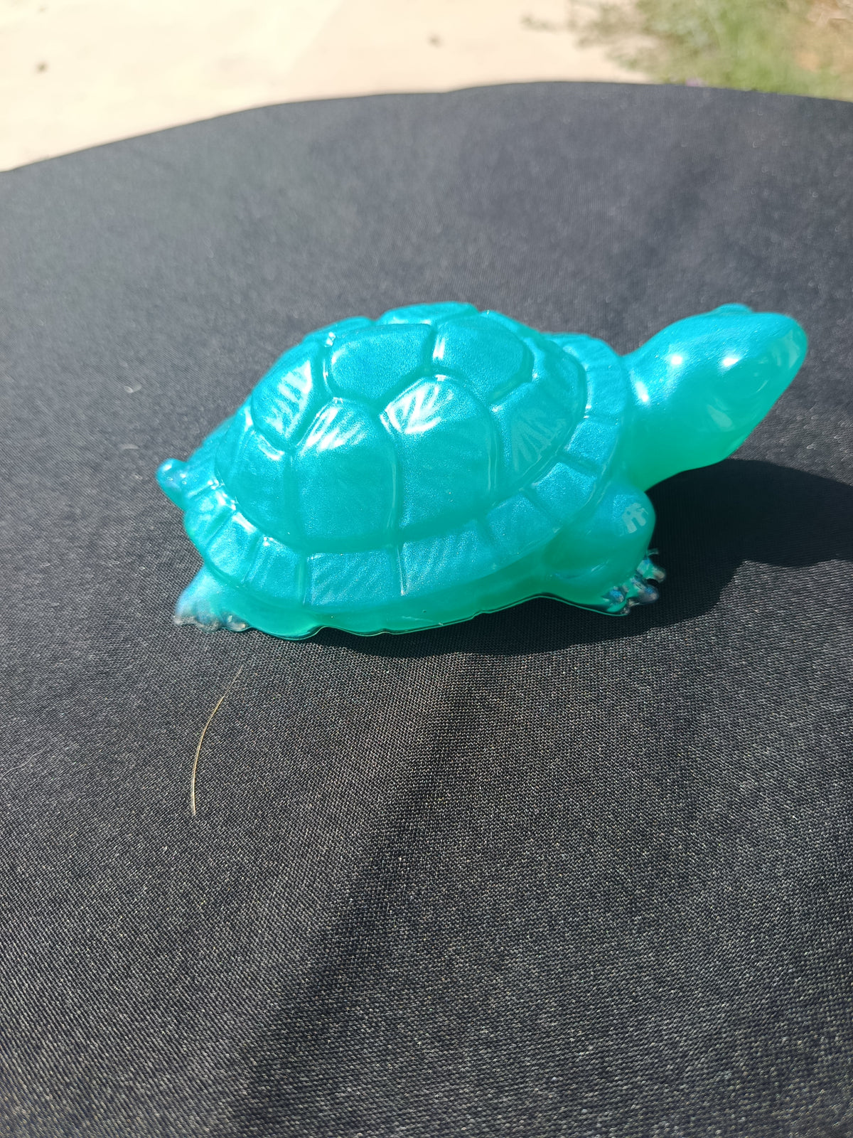 Tortue