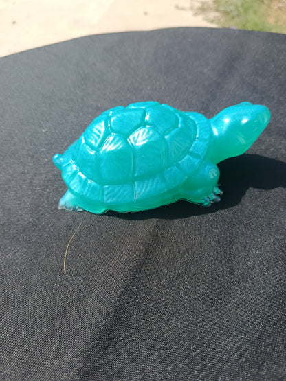 Tortue