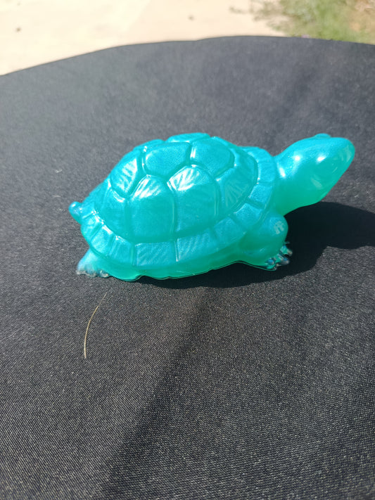 Tortue